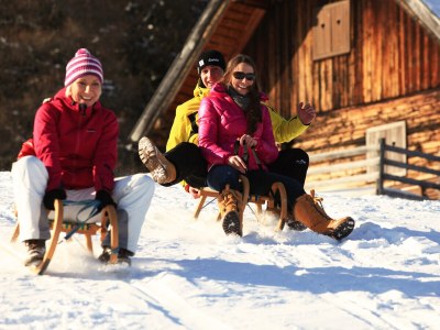 Holiday house Ferienhaus Lungau Home - Environment photo 38