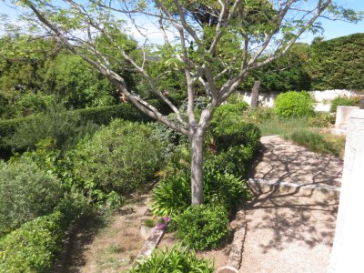 Villa Les Hauts du Sémaphore - Outdoor photo 7