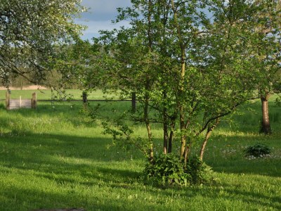 Holiday apartment No title - Outdoor photo 9