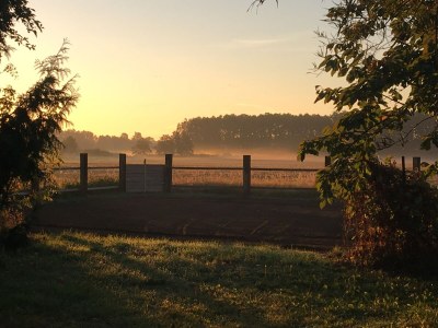 Holiday apartment No title - Environment photo 39