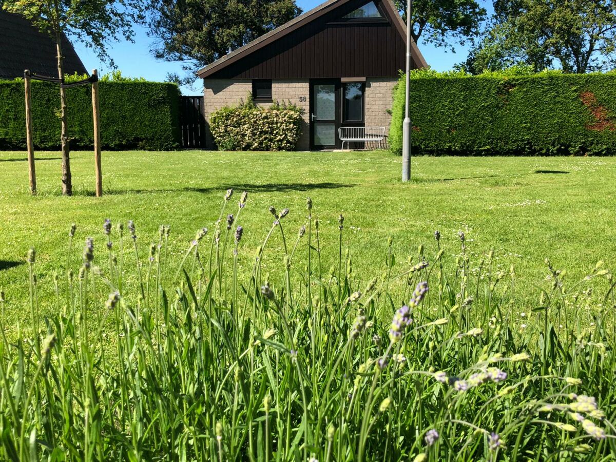 Holiday house Huis Knus - Outdoor photo 4