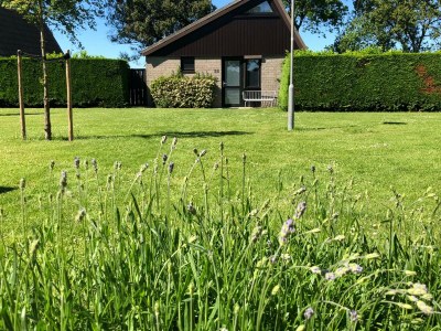 Holiday house Huis Knus - Outdoor photo 4