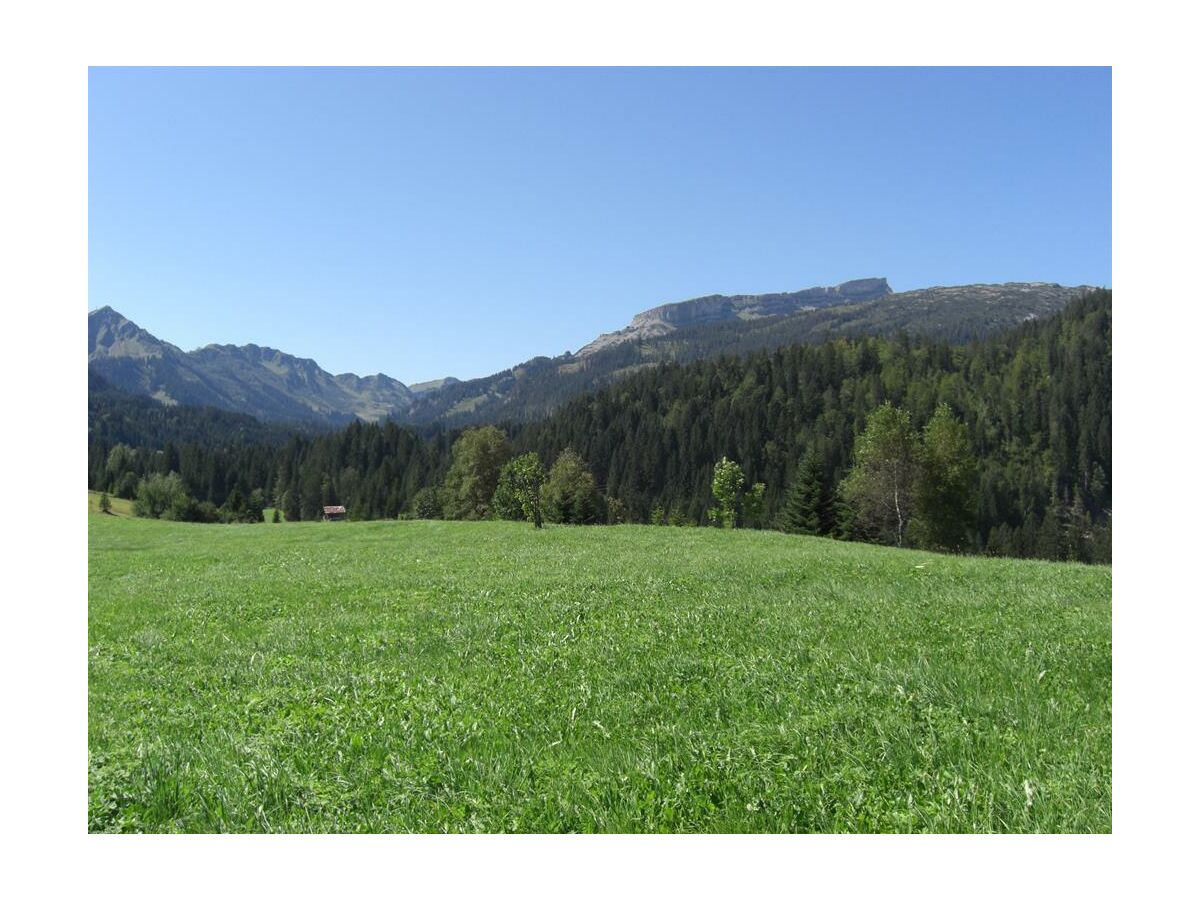 Apartment Apartment Ifen, Südterrasse