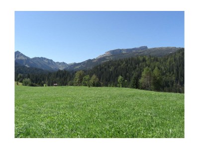 Apartment Apartment Ifen, Südterrasse - Features photo 15