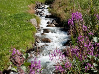 Holiday apartment Our "Pritscheshof" holiday apartment - Environment photo 9