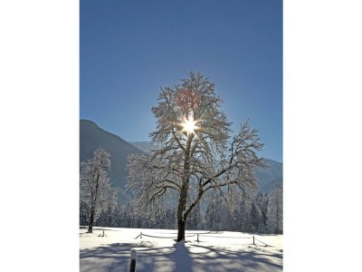 Apartment Appartement/Fewo, Toilette und Bad/Dusche getrennt - Outdoor photo 15