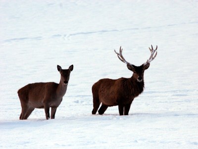 Apartment Appartement/Fewo, Toilette und Bad/Dusche getrennt - Outdoor photo 20