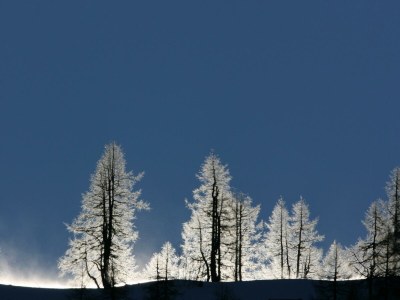 Apartment Appartement/Fewo, Toilette und Bad/Dusche getrennt - Outdoor photo 21