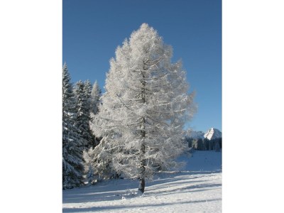 Apartment Appartement/Fewo, Toilette und Bad/Dusche getrennt - Outdoor photo 24