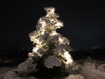Apartment Appartement/Fewo, Toilette und Bad/Dusche getrennt - Outdoor photo 26