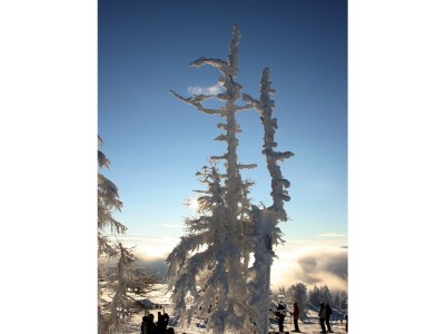 Apartment Appartement/Fewo, Toilette und Bad/Dusche getrennt - Outdoor photo 28