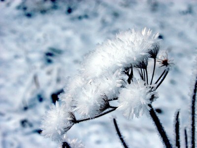 Apartment Appartement/Fewo, Toilette und Bad/Dusche getrennt - Outdoor photo 32