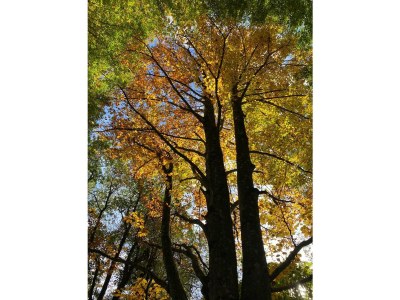 Apartment Appartement/Fewo, Toilette und Bad/Dusche getrennt - Outdoor photo 37