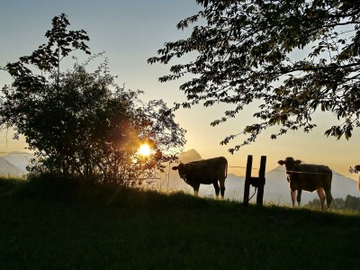 Apartment Appartement/Fewo, Toilette und Bad/Dusche getrennt - Outdoor photo 42