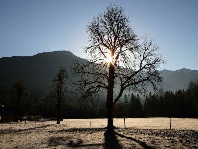 Apartment Appartement/Fewo, Toilette und Bad/Dusche getrennt - Outdoor photo 43