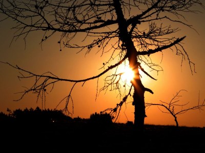 Apartment Appartement/Fewo, Toilette und Bad/Dusche getrennt - Outdoor photo 52