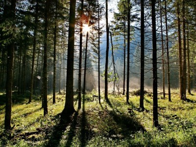 Apartment Appartement/Fewo, Toilette und Bad/Dusche getrennt - Outdoor photo 61
