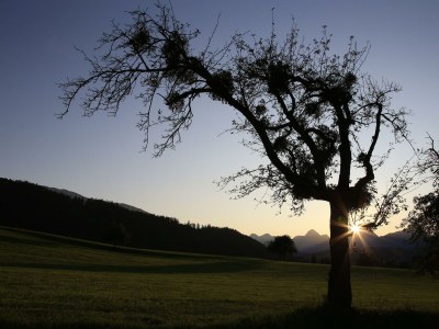 Apartment Appartement/Fewo, Toilette und Bad/Dusche getrennt - Outdoor photo 69