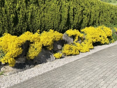 Apartment Appartement/Fewo, Toilette und Bad/Dusche getrennt - Outdoor photo 77