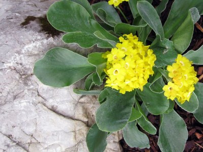 Apartment Appartement/Fewo, Toilette und Bad/Dusche getrennt - Outdoor photo 78