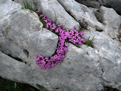 Apartment Appartement/Fewo, Toilette und Bad/Dusche getrennt - Outdoor photo 88
