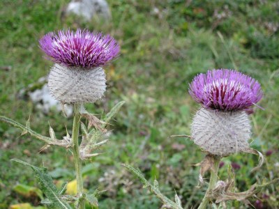 Apartment Appartement/Fewo, Toilette und Bad/Dusche getrennt - Outdoor photo 91