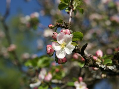 Apartment Appartement/Fewo, Toilette und Bad/Dusche getrennt - Outdoor photo 92