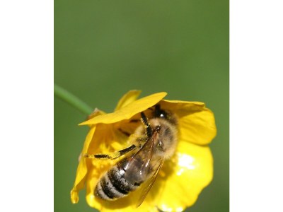 Apartment Appartement/Fewo, Toilette und Bad/Dusche getrennt - Outdoor photo 93