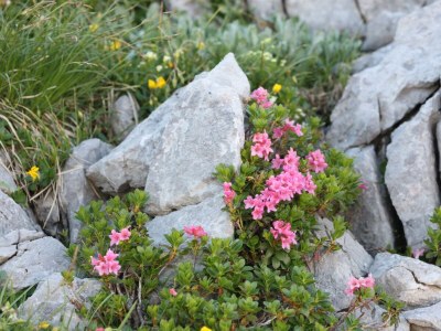 Apartment Appartement/Fewo, Toilette und Bad/Dusche getrennt - Outdoor photo 94