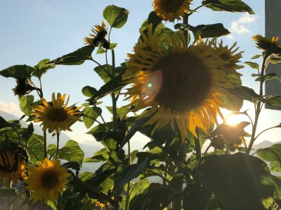 Apartment Appartement/Fewo, Toilette und Bad/Dusche getrennt - Outdoor photo 101
