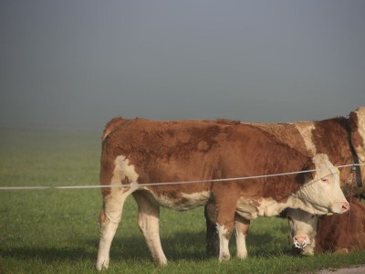 Apartment Appartement/Fewo, Toilette und Bad/Dusche getrennt - Outdoor photo 102