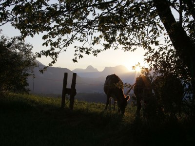 Apartment Appartement/Fewo, Toilette und Bad/Dusche getrennt - Outdoor photo 106