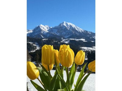 Apartment Appartement/Fewo, Toilette und Bad/Dusche getrennt - Outdoor photo 126