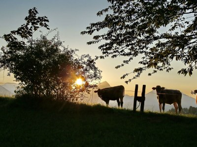Apartment Appartement/Fewo, Toilette und Bad/Dusche getrennt - Outdoor photo 130