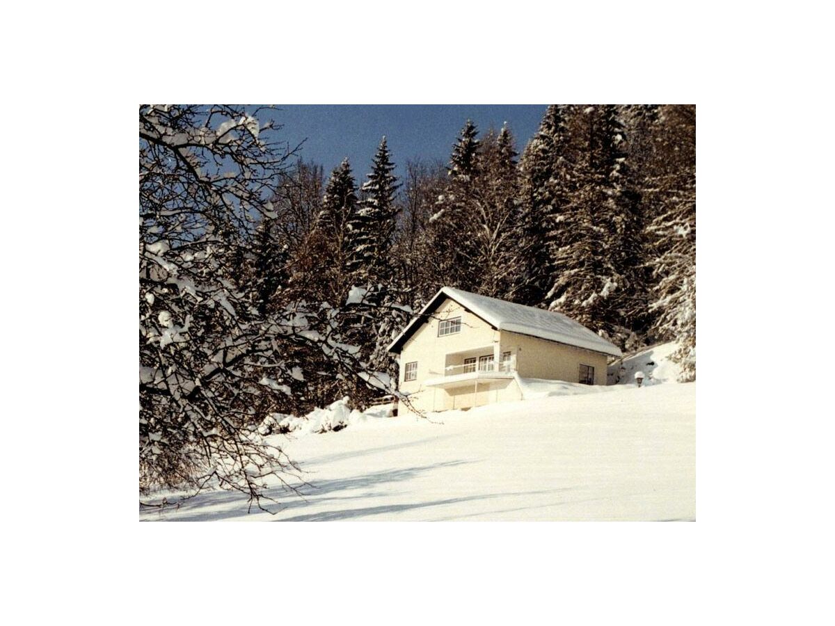 Apartment Ferienwohnung Ost