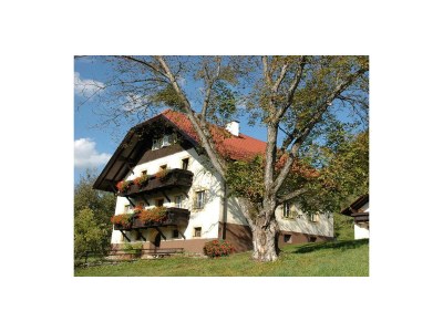 Apartment Ferienwohnung Ost - Outdoor photo 2