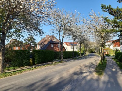 Holiday house Little paradise - Outdoor photo 12