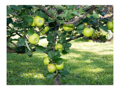 Apartment Appartement 70 m² - Outdoor photo 5