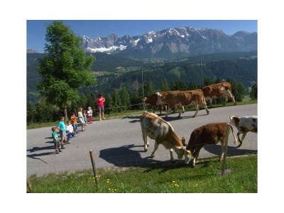 Holiday room Doppelzimmer mit Dusche, WC - Outdoor photo 10