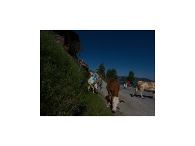 Holiday room Doppelzimmer mit Dusche, WC - Outdoor photo 12