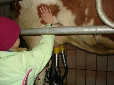 Holiday room Doppelzimmer mit Dusche, WC - Outdoor photo 14