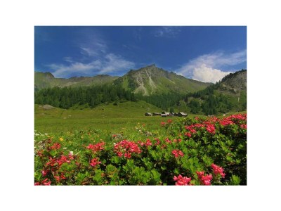 Holiday room Doppelzimmer mit Dusche, WC - Outdoor photo 26