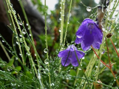Holiday room Einzelzimmer mit Dusche, WC - Features photo 39