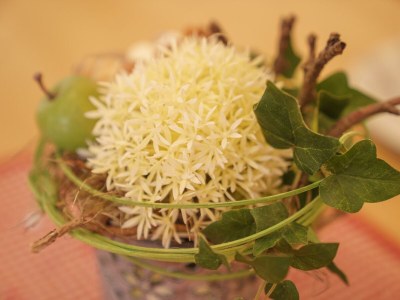 Apartment Apartment/2 Schlafräume/Dusche, WC - Outdoor photo 12