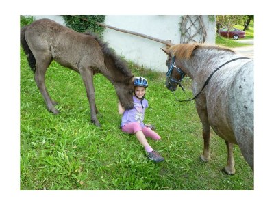Apartment Appartment Lamm/2 Schlafräume/Dusche, WC - Outdoor photo 7