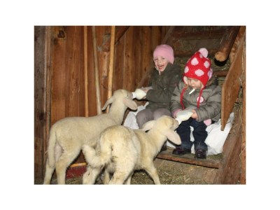 Apartment Appartment Lamm/2 Schlafräume/Dusche, WC - Outdoor photo 9