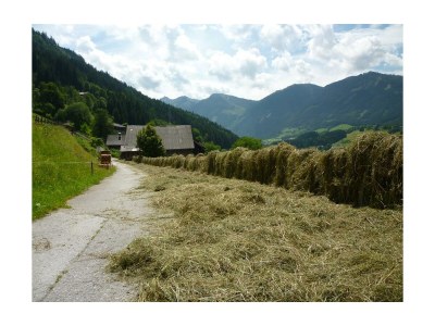 Apartment Appartment Lamm/2 Schlafräume/Dusche, WC - Outdoor photo 12