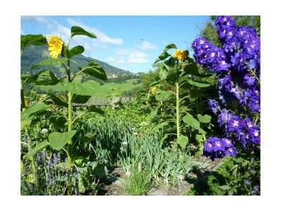 Apartment Appartment Lamm/2 Schlafräume/Dusche, WC - Outdoor photo 15