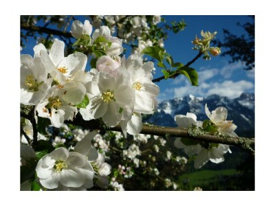 Apartment Appartment Lamm/2 Schlafräume/Dusche, WC - Outdoor photo 16