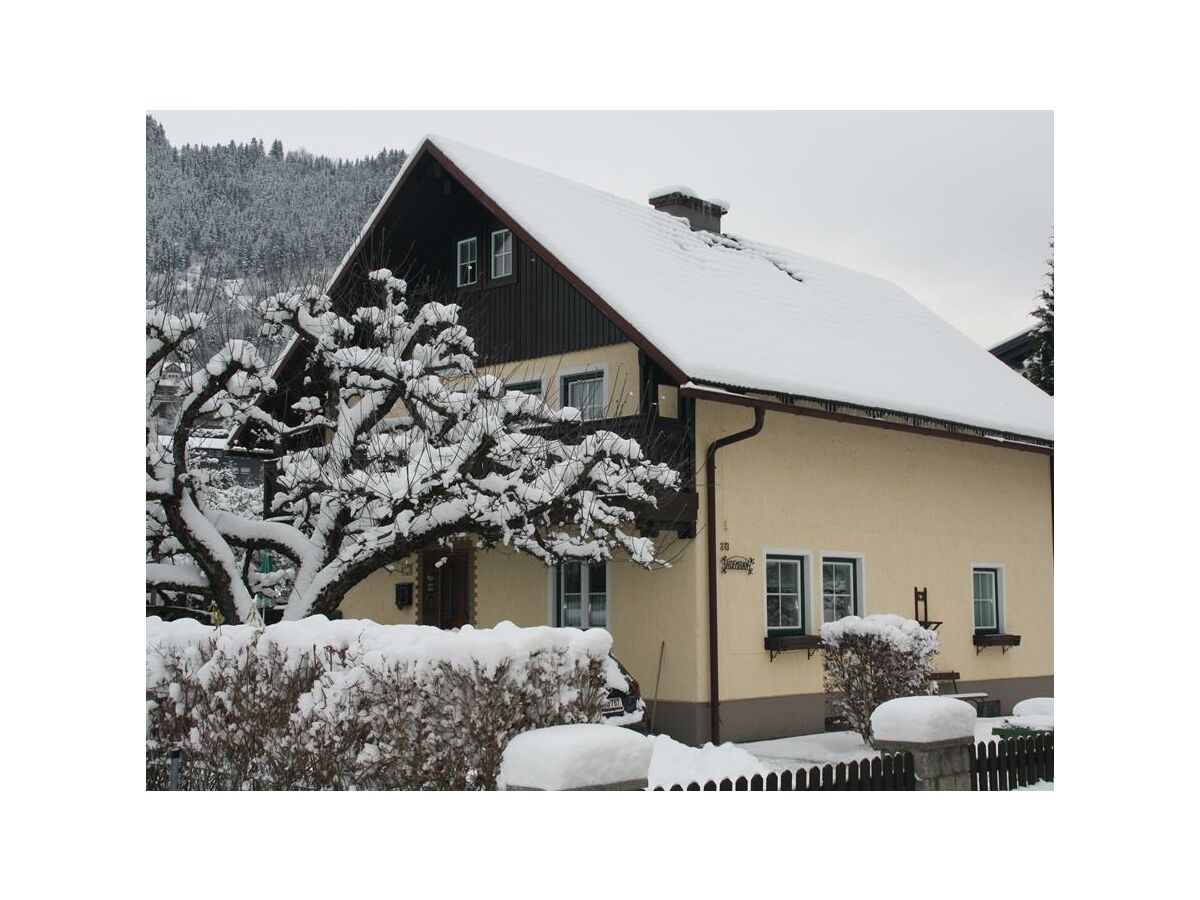 Apartment Apartment/Wohn- Schlafraum,1 Schlafraum/Dusche, WC